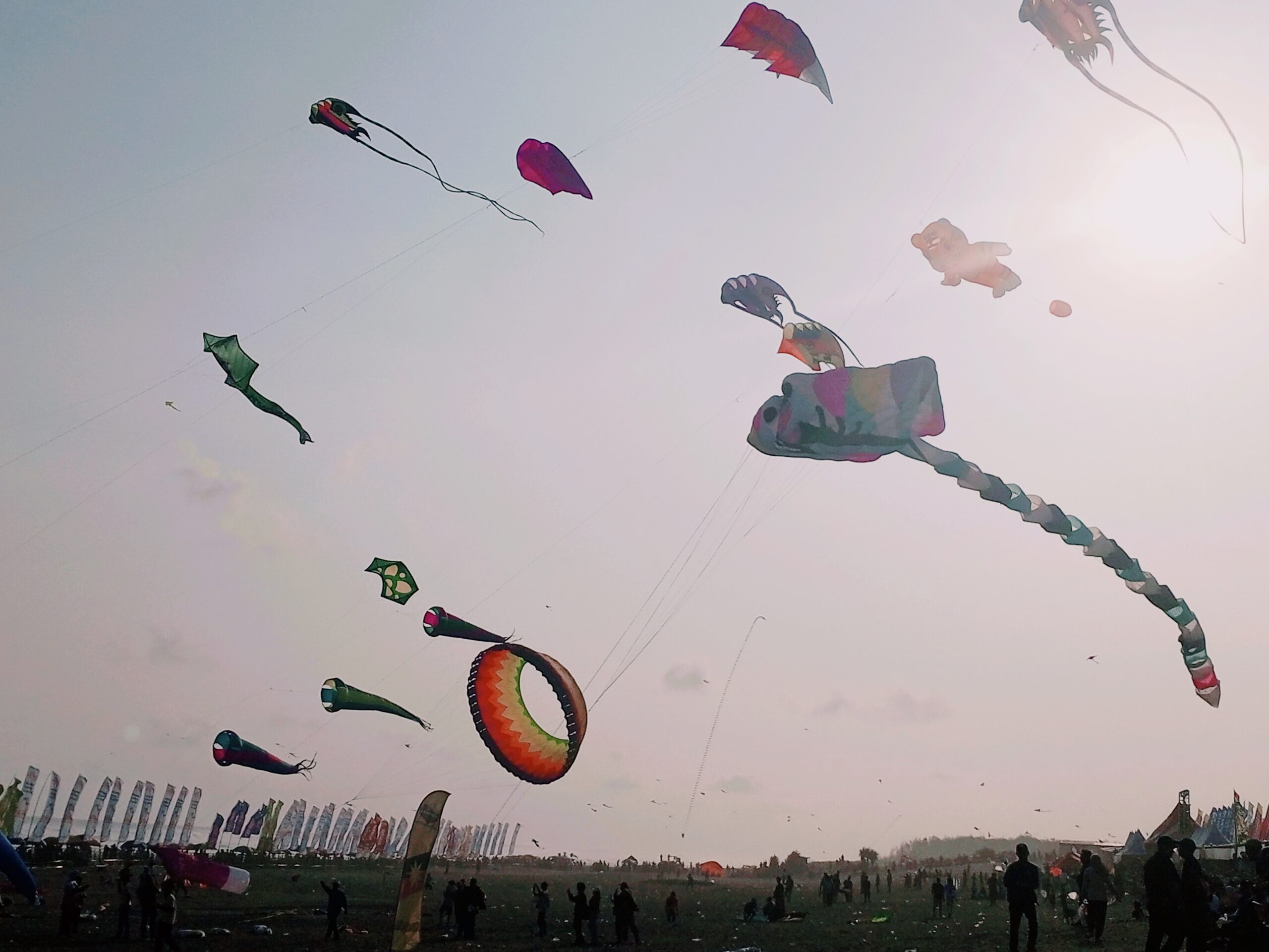 Jogja Internasional Kite Festival 2025′ Angin Selatan Membawa Pesan Damai dari Langit