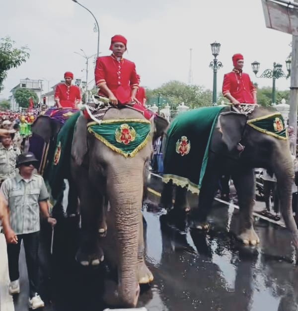 Garebeg Mulud Dal, Syukur yang Bersemi Setiap Delapan Tahun
