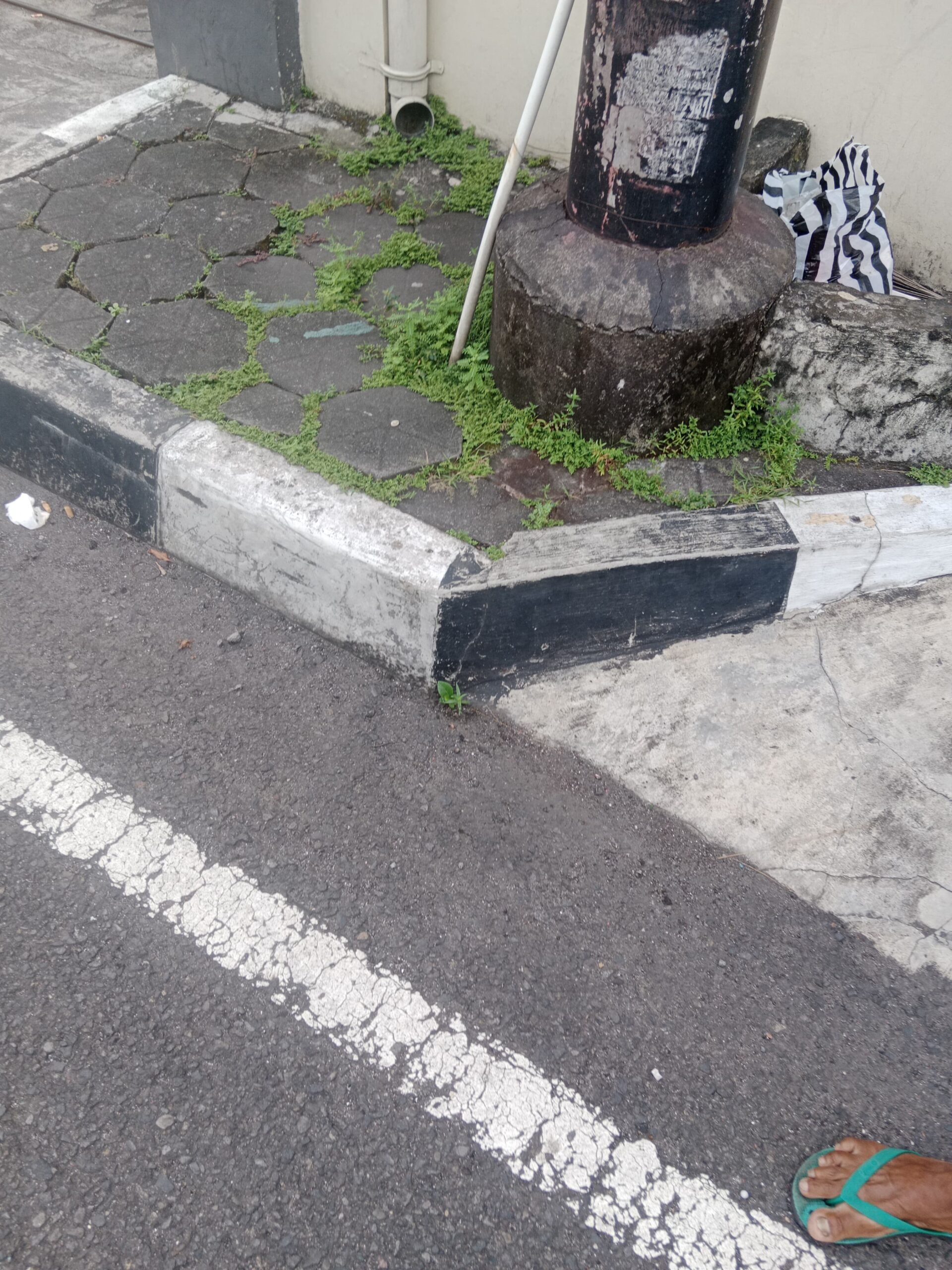 Tekanan Geng Pelajar Vascal Yogyakarta Picu Kekerasan