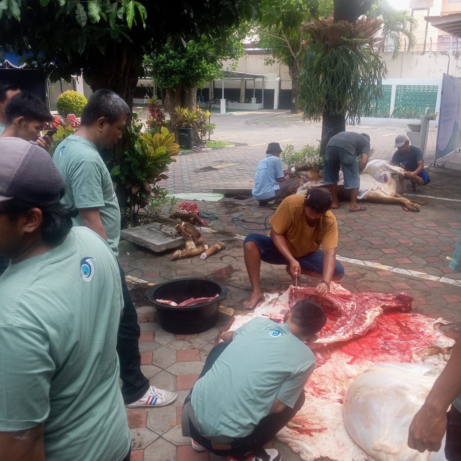 Yayasan DR YAP Prawirohusodo Sembelih 2 Sapi Kurban